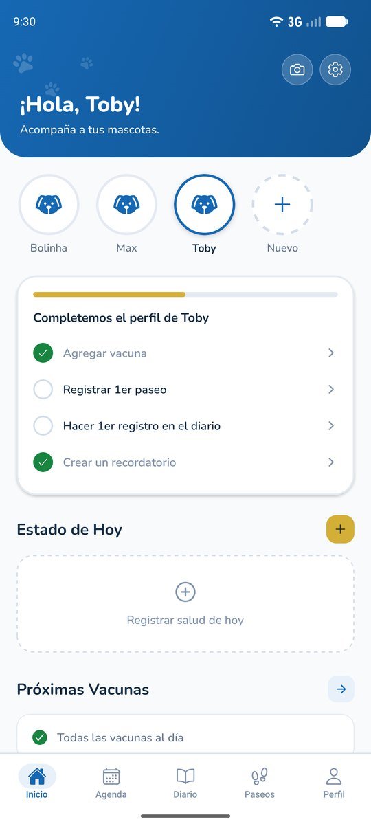 Todo en un solo lugar: La pantalla de inicio: perfil, lo que falta completar y las próximas vacunas.